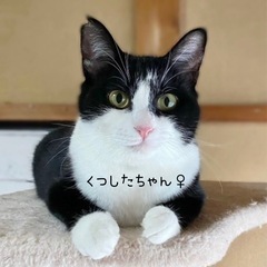 足の白ソックスが可愛いでしょ