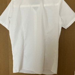 レディースワイシャツ半袖の画像