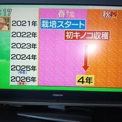 テレビ37型　東芝REGZA（37RH500）
