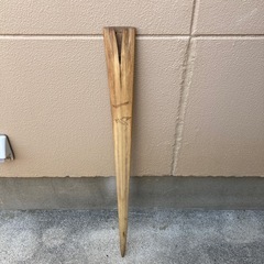 カジキの角　歯