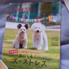 いぬのきもち10月号