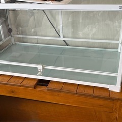 週末特価美品パンテオンカノン9045フルセット台付き