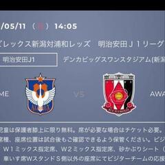 アルビレックス新潟 vs 浦和レッズ E2指定連番2枚