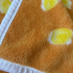 毛布の画像