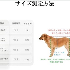 犬の歩行器　四輪　小型犬用　の画像