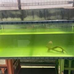 120cm水槽
