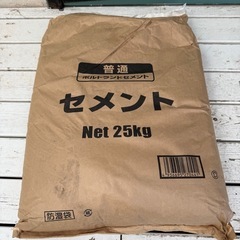 カインズ　セメント25kg