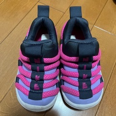 NIKE ダイナモ　　14.0cm