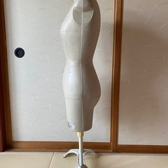 トルソー　ボディ の画像