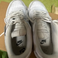 NIKEエアホースの画像