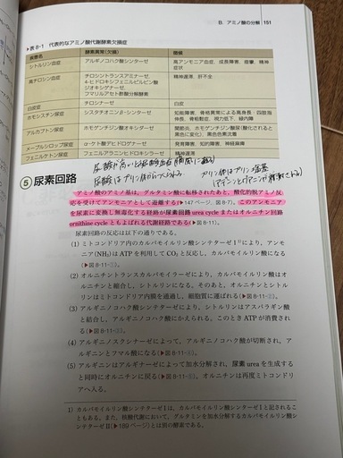 看護 教科書 参考書 まとめ売り