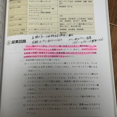 看護 教科書 参考書 まとめ売りの画像