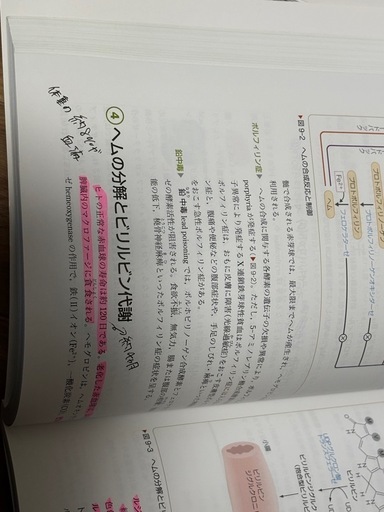 看護 教科書 参考書 まとめ売り