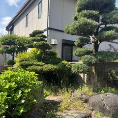 庭木など
