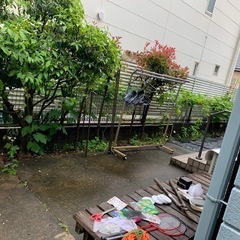 木
の画像