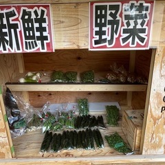無人販売、新鮮野菜