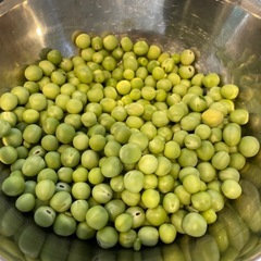 【採れたて！】冷凍グリーンピース　豆　野菜　300g