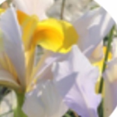 1時間ほど、草抜きお手伝いして頂けないでしょうか？🙇‍♀️