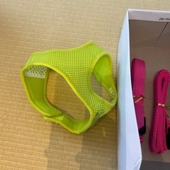 ペット　犬用　ロングリード　5m以上の画像