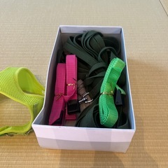 ペット　犬用　ロングリード　5m以上の画像