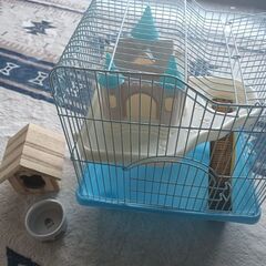 ハムスター飼育セットの画像
