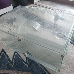 ハムスター飼育セット