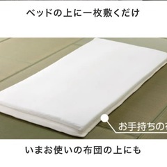  受付終了　皆様に感謝申し上げます。トゥルースリーパー　低反発マ...