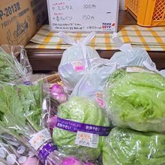 5/11(日)本日限定❗無人販売