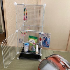 鳥かご　餌