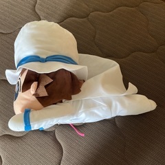 BIG名探偵コナン　怪盗キッドの画像