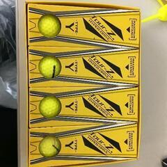 0511-005 ゴルフボール　新品