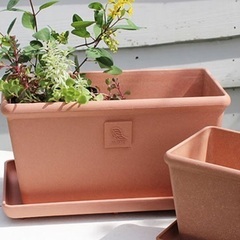 使用しなくなった植木鉢(主にプラ鉢)を譲っていただけないでしょうか？