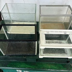 小型水槽4個セット　メダカ　金魚　産卵 稚魚　