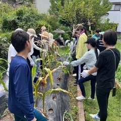 大阪で農業体験👨‍🌾
