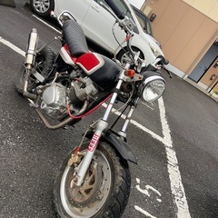中華エイプ