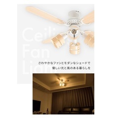 シーリングファンライト
