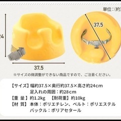 【お値下げ】ベビー　バンボ【取説・ベルト付き】の画像