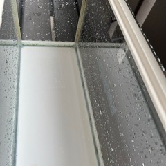 水槽450の画像