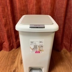 ニトリ　2way ペダルペール(30L)