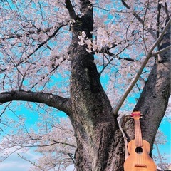 ウクレレ発表会　見学のみokの画像