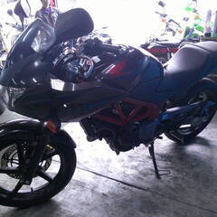 HONDA VTR250F グレー エンジン始動動画 自賠保険で乗れます 半額配送キャンペーン 期間限定 現状渡し諸経費￥0- 横浜 P-Yardの画像