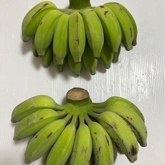  🍌ナムワバナナ🍌の画像