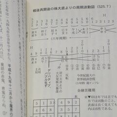 平成の株大暴落  -世界大恐慌の前ぶれ-　田上晃彩の画像
