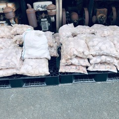 庭石　　ガーデニング　ガビオン　　
の画像