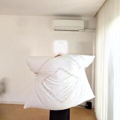 大きいクッション2点セット(個別でも販売しています)の画像
