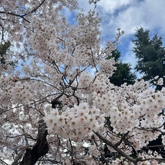 平日昼間勉強会