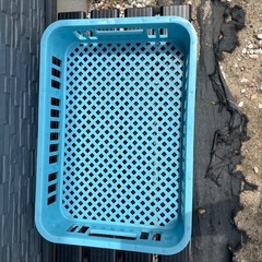 フードコンテナ　コンテナー　ばんじゅう

