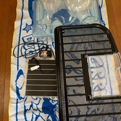 幼虫飼育セット