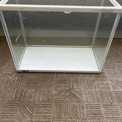 GEX  金魚用水槽