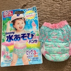 水遊びパンツ BIG女の子用1枚のみ🦩
